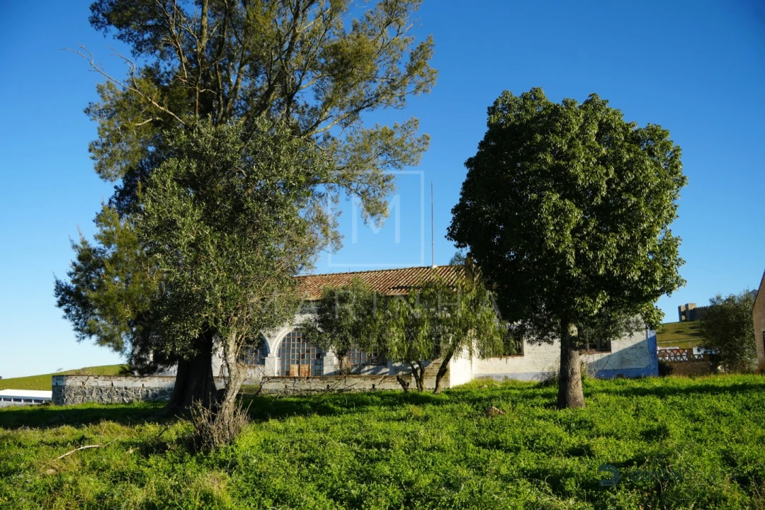 Quinta para Venda em Arraiolos Foto 31