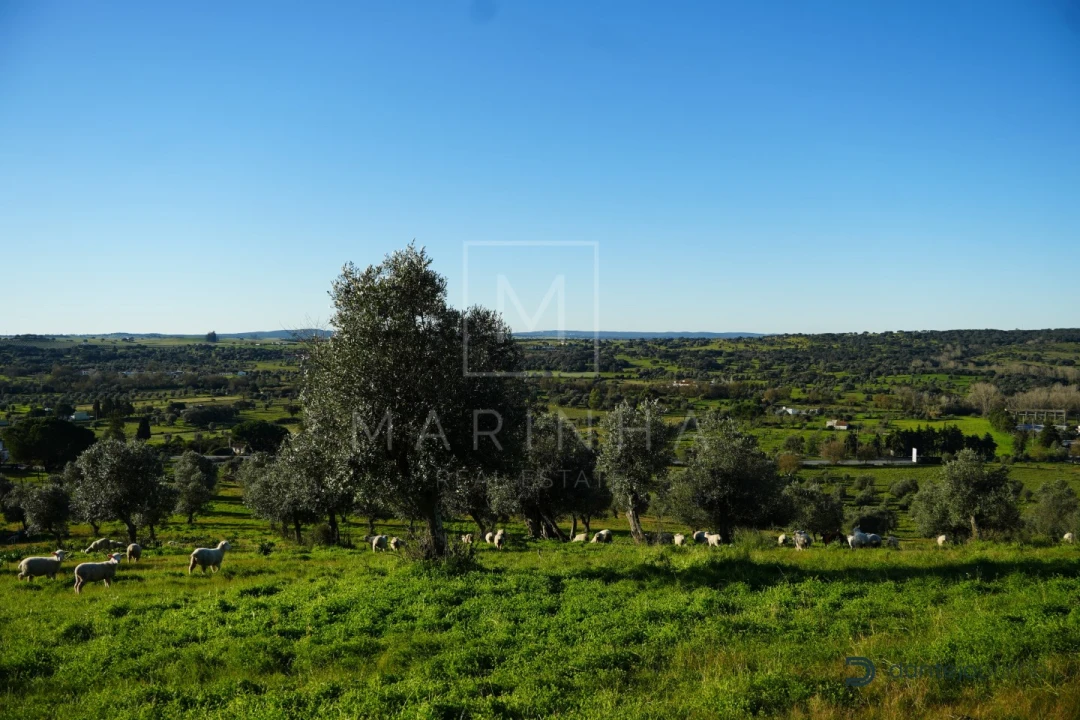 Quinta para Venda em Arraiolos Foto 34