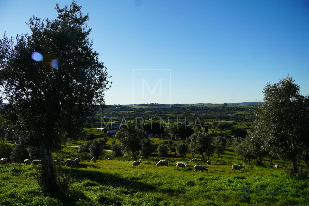 Quinta para Venda em Arraiolos Foto 35