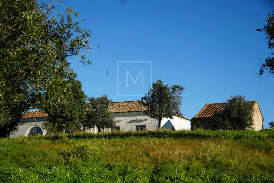 Quinta para Venda em Arraiolos Foto 36