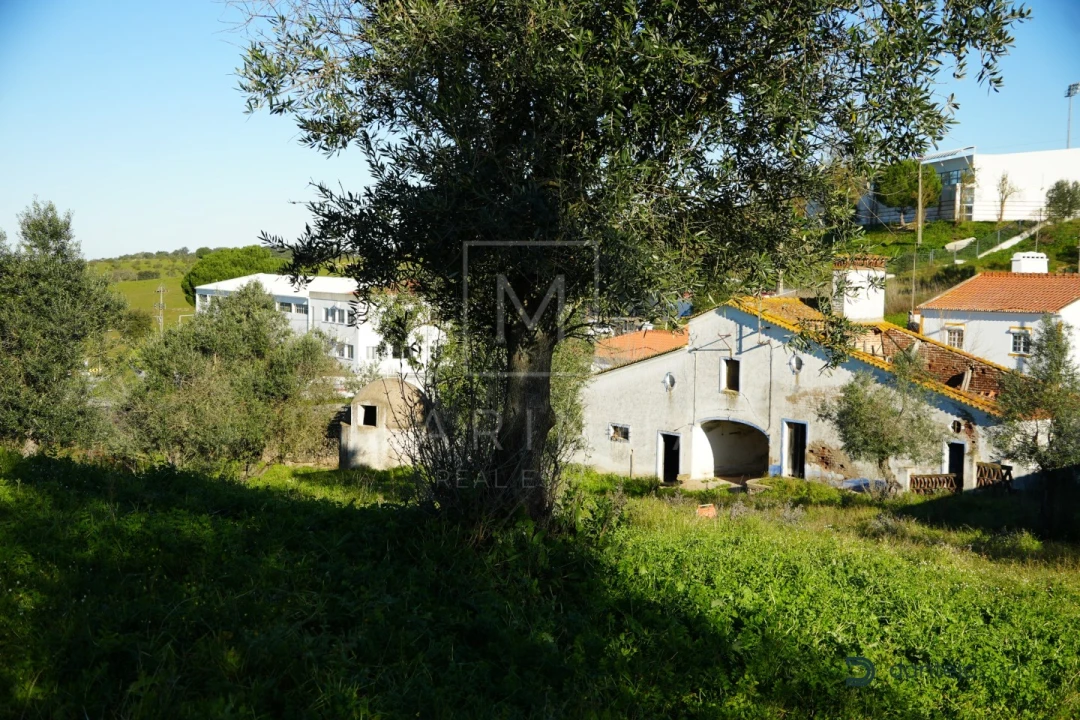 Quinta para Venda em Arraiolos Foto 49