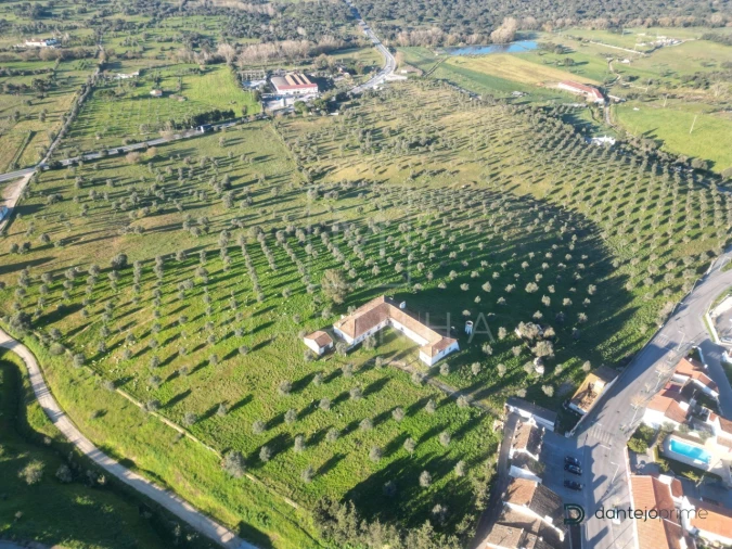 Quinta para Venda em Arraiolos Foto 6