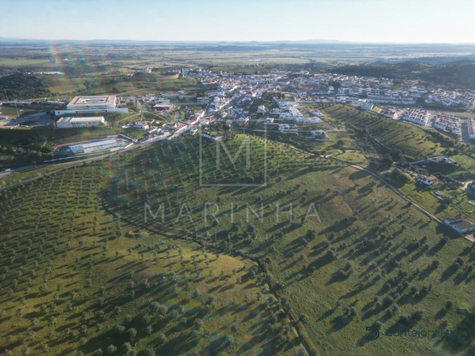 Quinta para Venda em Arraiolos Foto 7