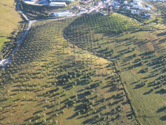 Quinta para Venda em Arraiolos Foto 9