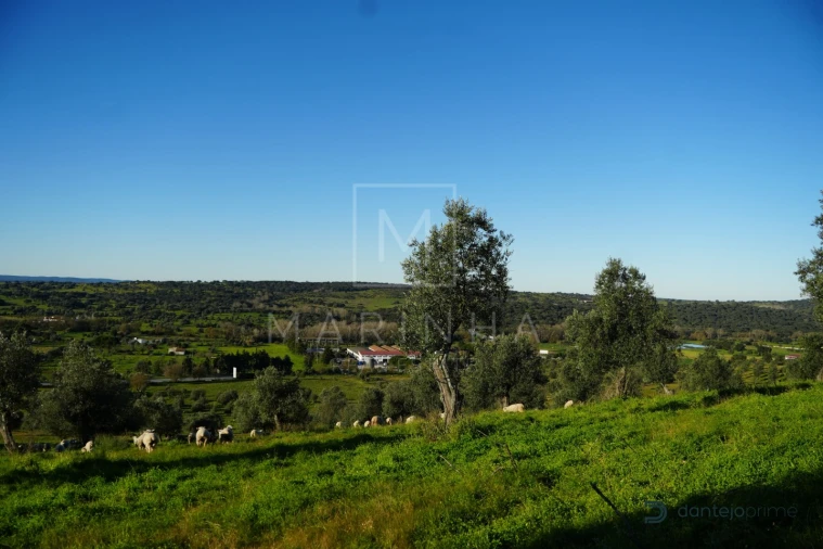 Quinta para Venda em Arraiolos Foto 33