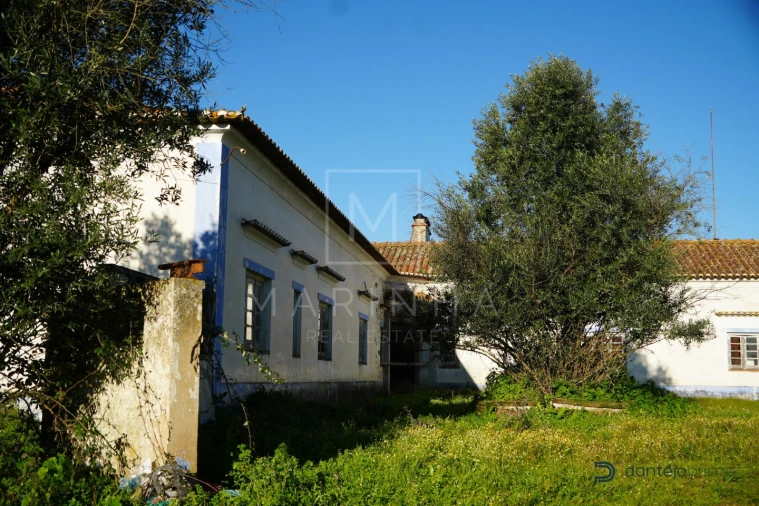 Quinta para Venda em Arraiolos Foto 40