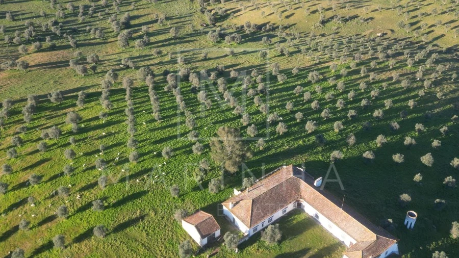 Quinta para Venda em Arraiolos