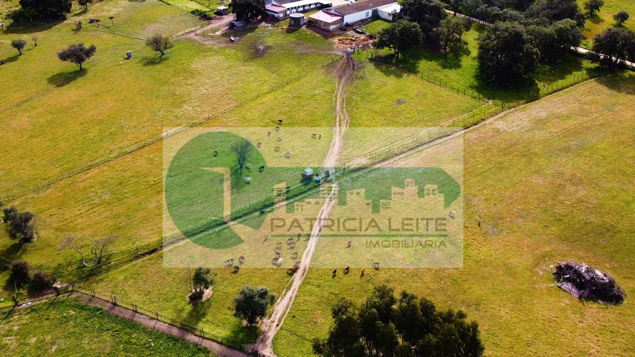 Terreno Misto para Venda em Moita Foto 3