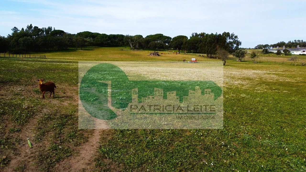 Terreno Misto para Venda em Moita Foto 5