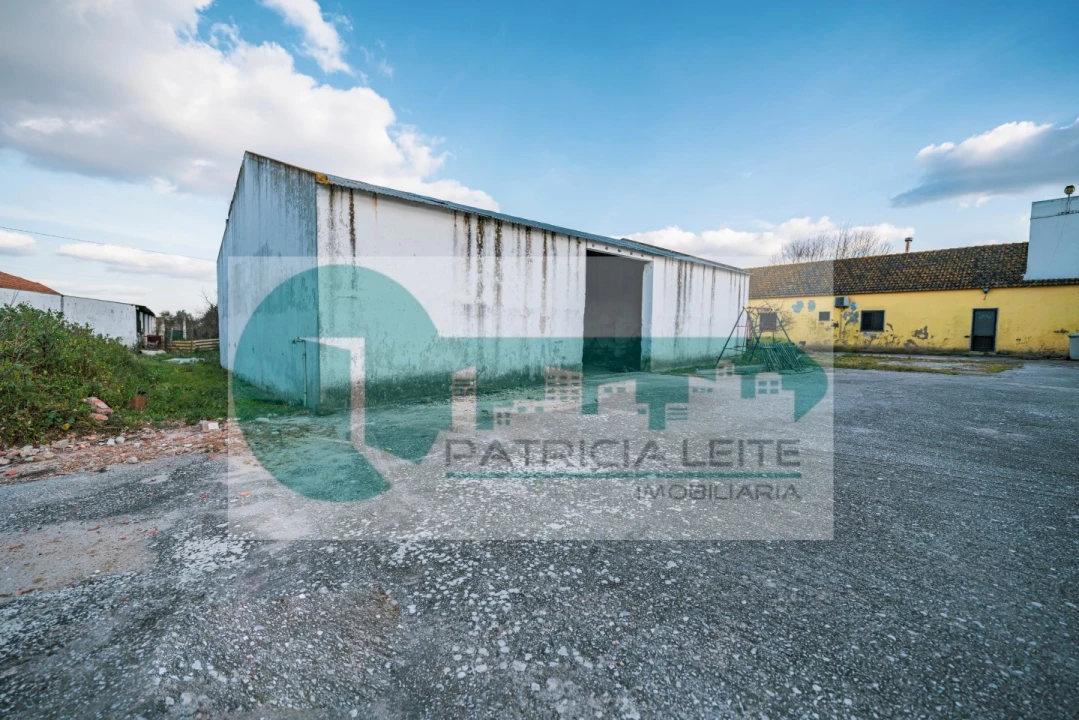 Quinta para Venda em Poceirão e Marateca Foto 14