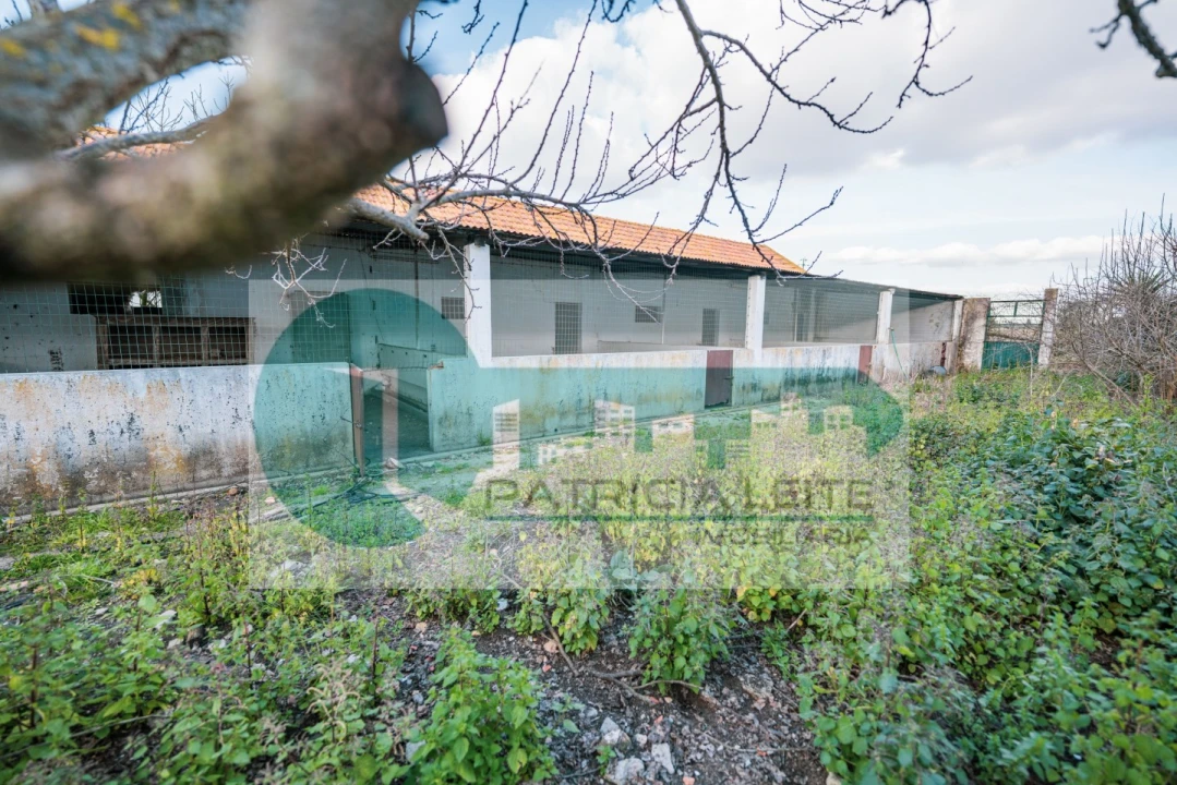 Quinta para Venda em Poceirão e Marateca Foto 19