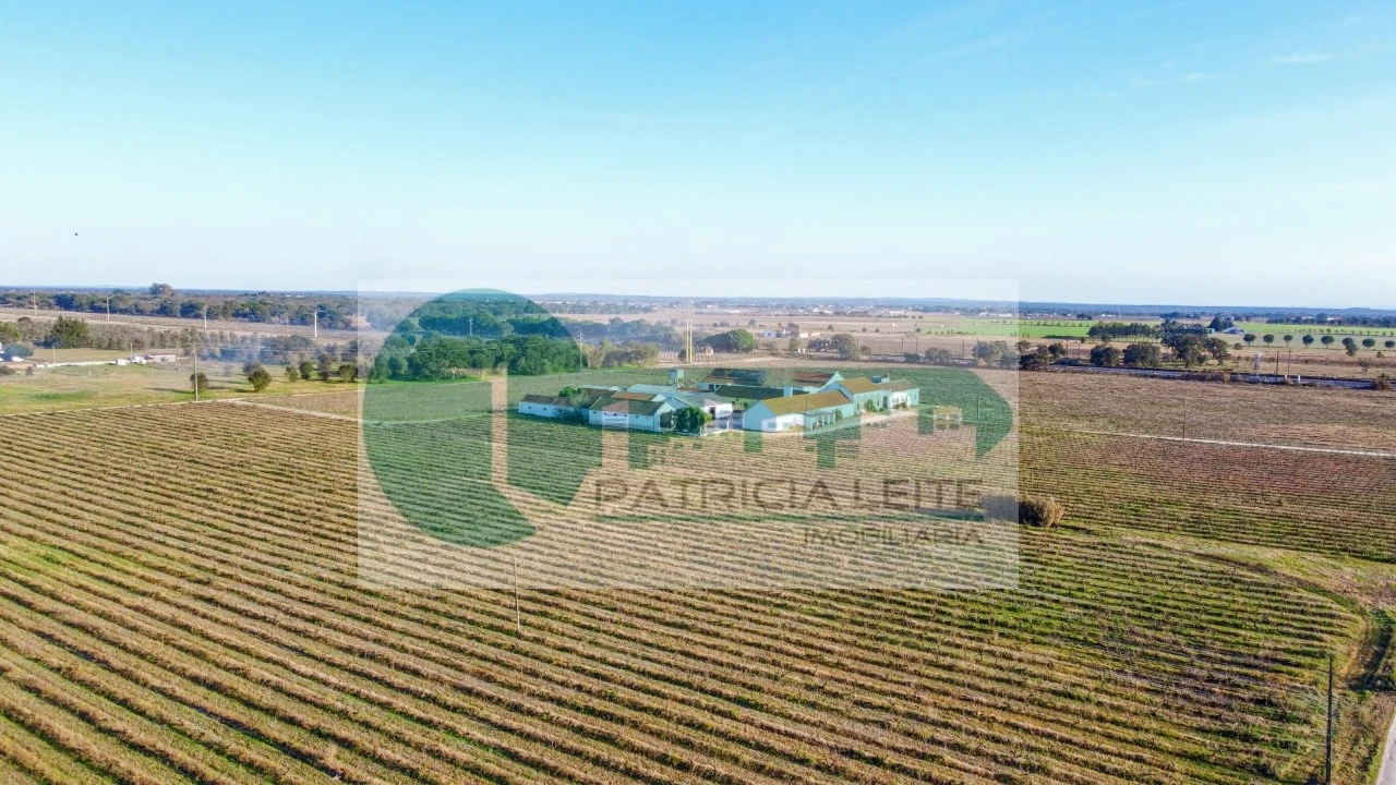 Quinta para Venda em Poceirão e Marateca Foto 20