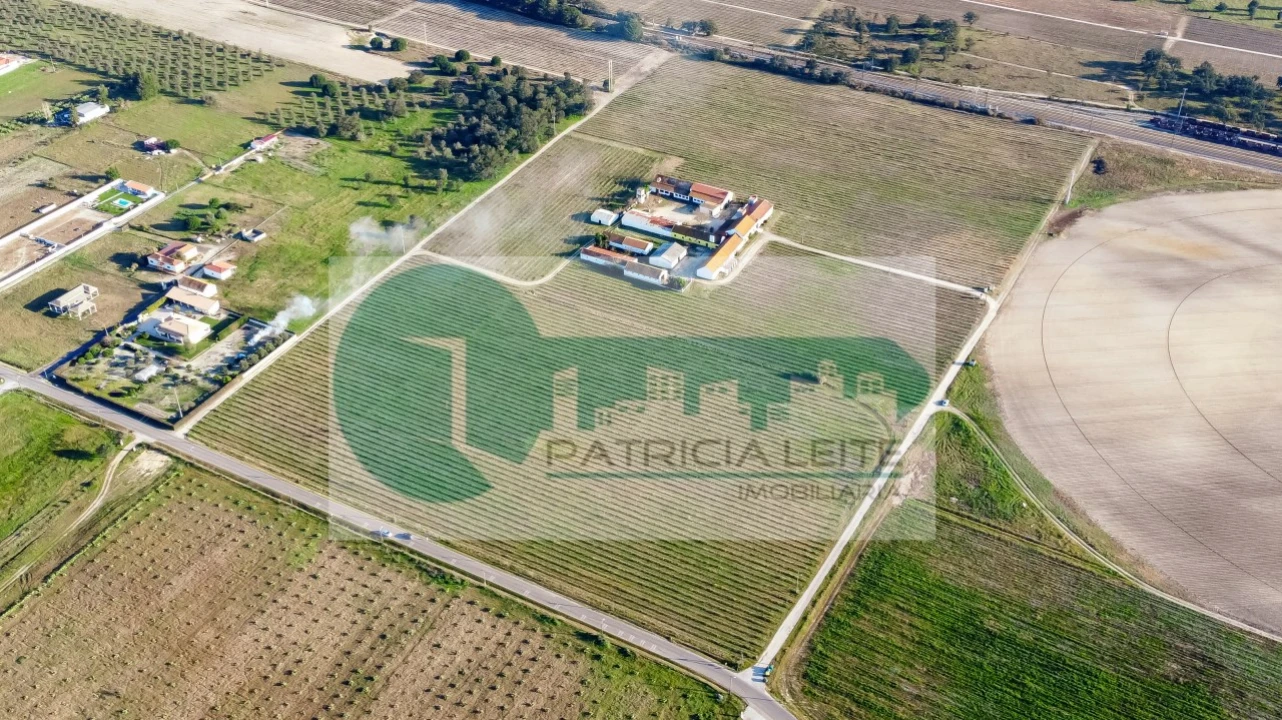 Quinta para Venda em Poceirão e Marateca Foto 24