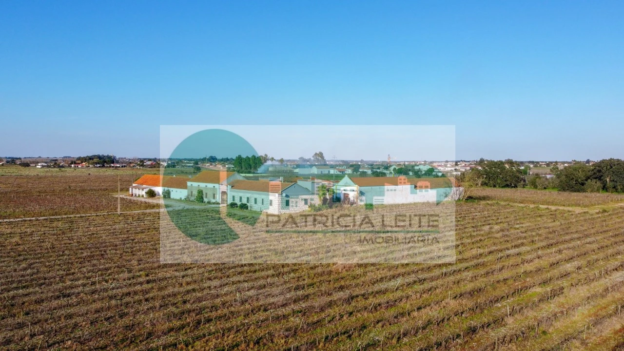 Quinta para Venda em Poceirão e Marateca Foto 25