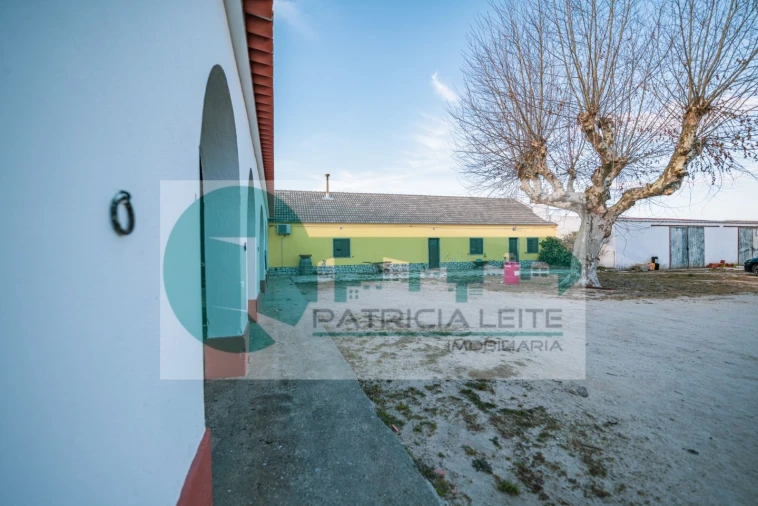 Quinta para Venda em Poceirão e Marateca Foto 6