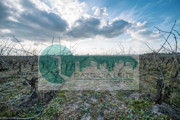 Quinta para Venda em Poceirão e Marateca Foto 16