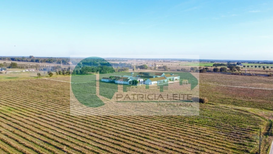 Quinta para Venda em Poceirão e Marateca Foto 20