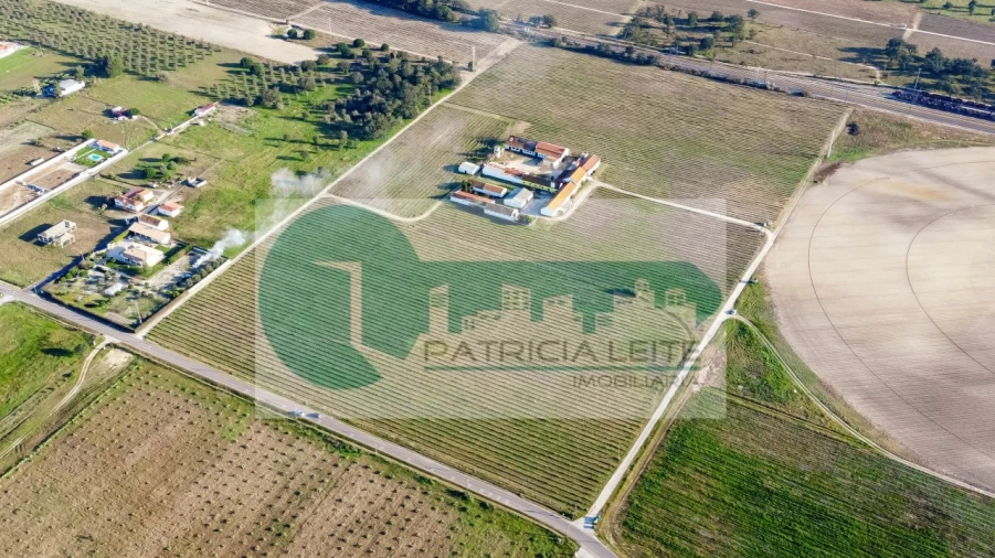 Quinta para Venda em Poceirão e Marateca Foto 24