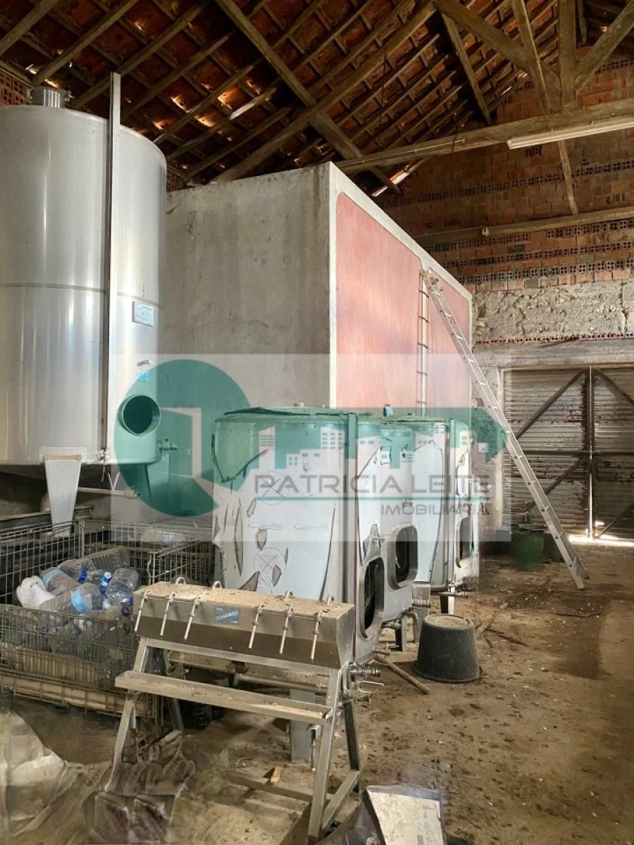 Quinta para Venda em Poceirão e Marateca Foto 28