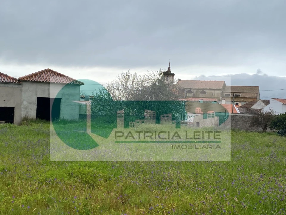 Moradia para Venda em Manique do Intendente, Vila Nova de São Pedro e Maçussa Foto 1