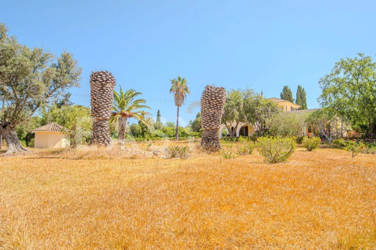 Moradia T7 para Venda em Guia Foto 122