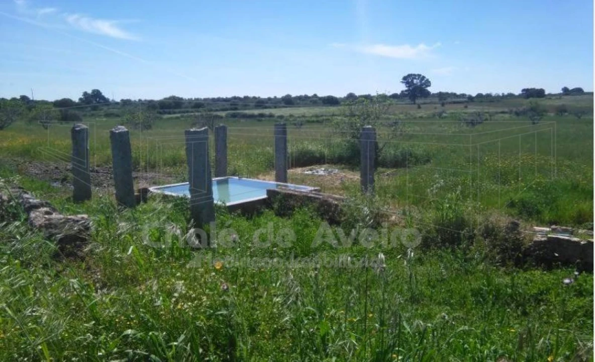 Quinta para Venda em Arez e Amieira do Tejo Foto 4