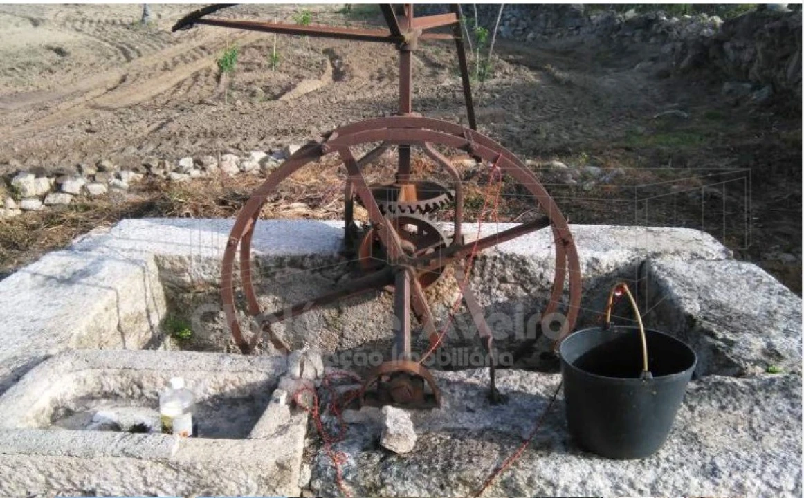 Quinta para Venda em Arez e Amieira do Tejo Foto 5