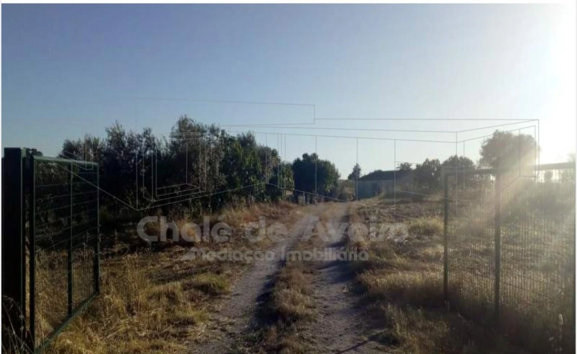 Quinta para Venda em Arez e Amieira do Tejo Foto 12