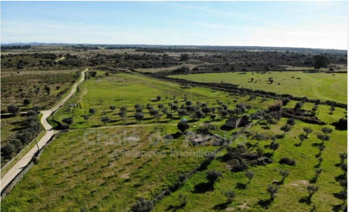Quinta para Venda em Arez e Amieira do Tejo Foto 1