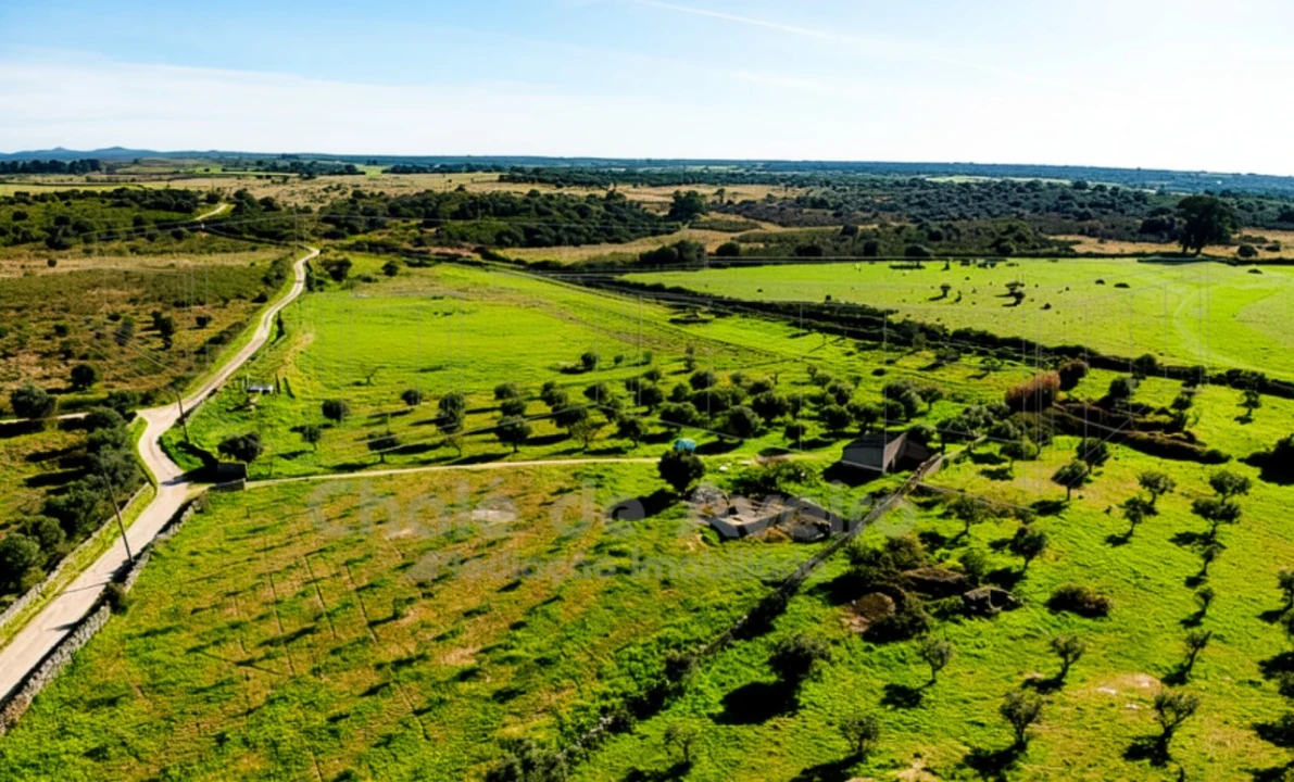 Quinta para Venda em Arez e Amieira do Tejo Foto 1