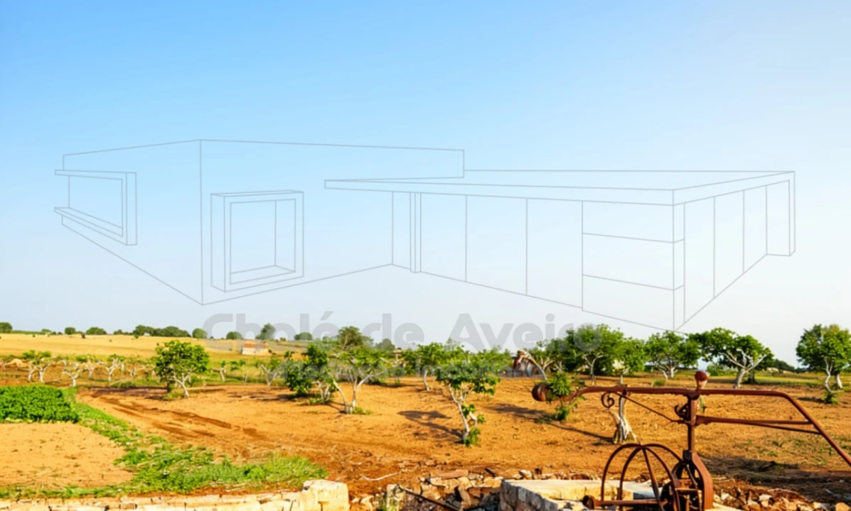 Quinta para Venda em Arez e Amieira do Tejo Foto 2