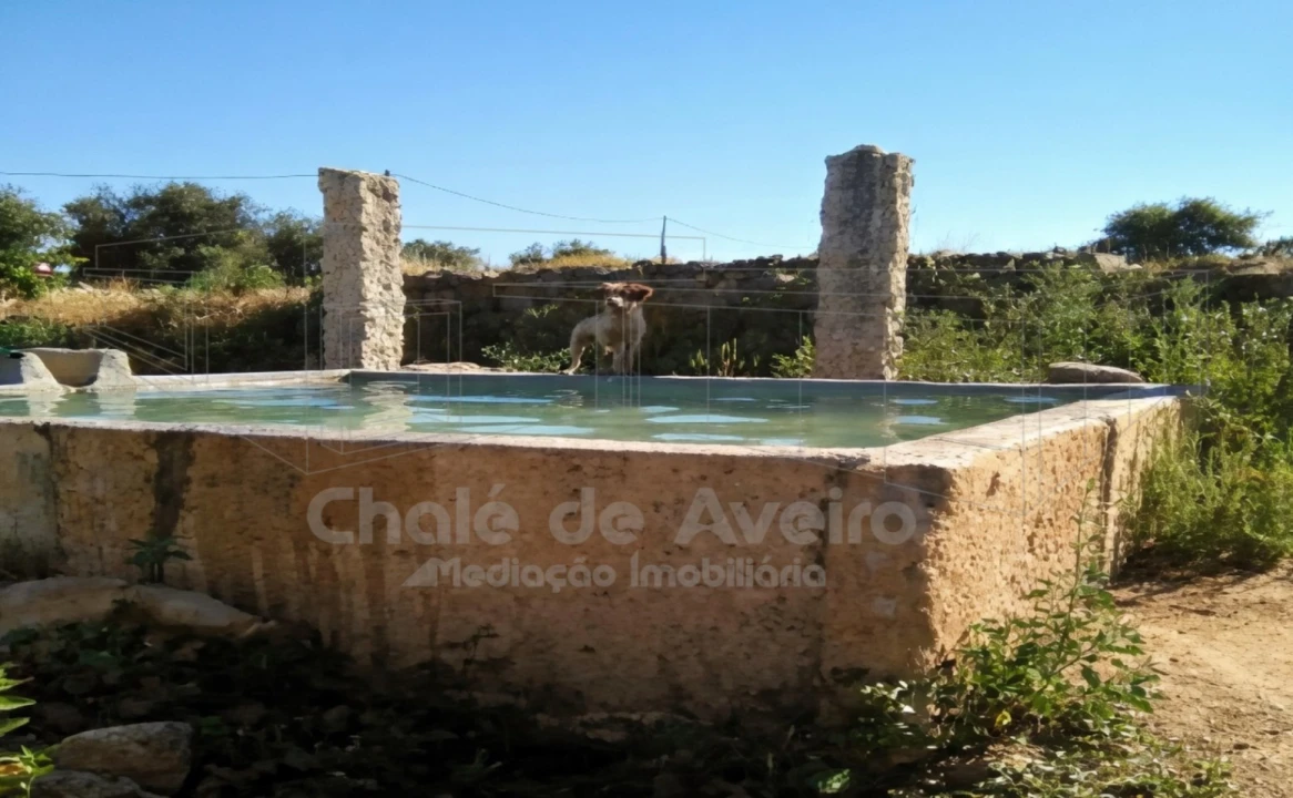 Quinta para Venda em Arez e Amieira do Tejo Foto 3