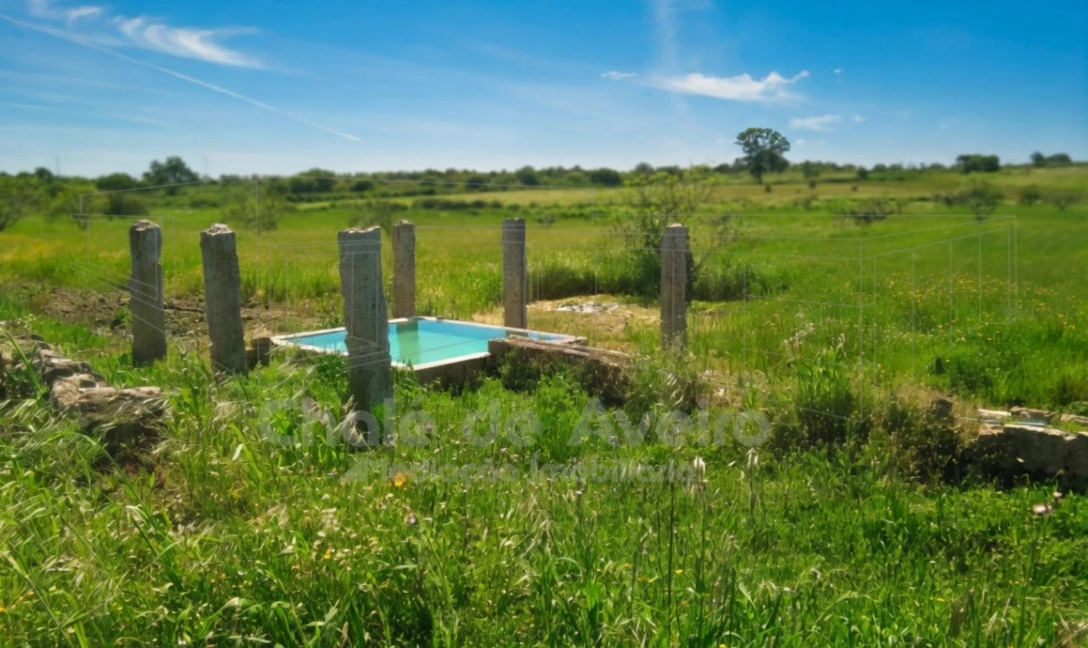 Quinta para Venda em Arez e Amieira do Tejo Foto 4