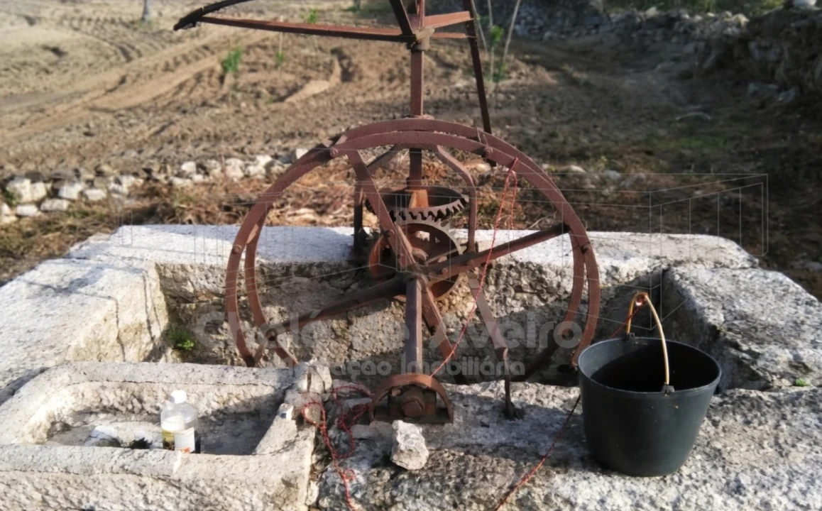 Quinta para Venda em Arez e Amieira do Tejo Foto 5