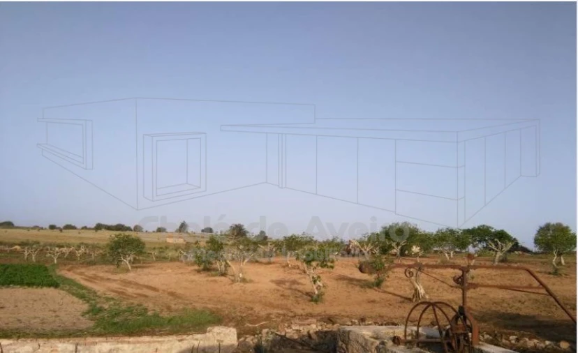 Quinta para Venda em Arez e Amieira do Tejo Foto 2