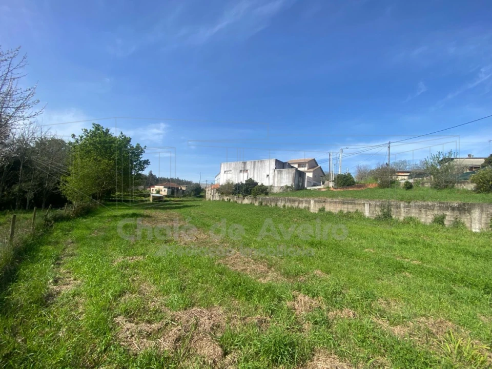 Armazém para Venda em Belazaima do Chão, Castanheira do Vouga e Agadão Foto 13