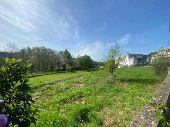 Armazém para Venda em Belazaima do Chão, Castanheira do Vouga e Agadão Foto 8