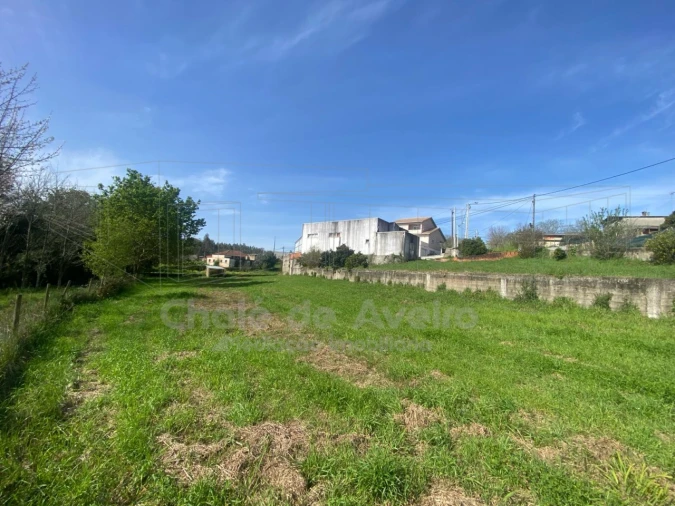 Armazém para Venda em Belazaima do Chão, Castanheira do Vouga e Agadão Foto 13