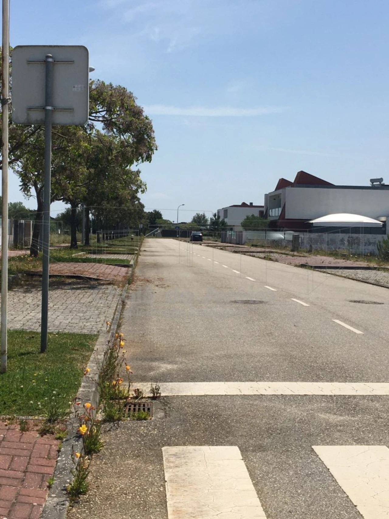 Terreno para Venda em São Jacinto Foto 11