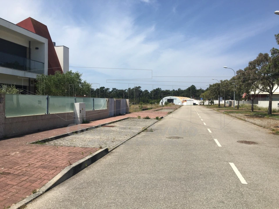 Terreno para Venda em São Jacinto Foto 13