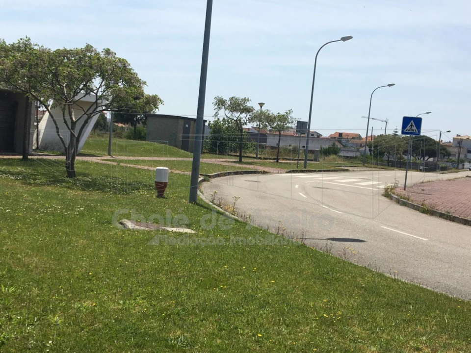 Terreno para Venda em São Jacinto Foto 14