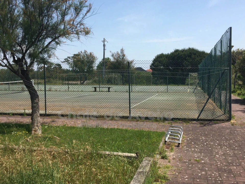 Terreno para Venda em São Jacinto Foto 16