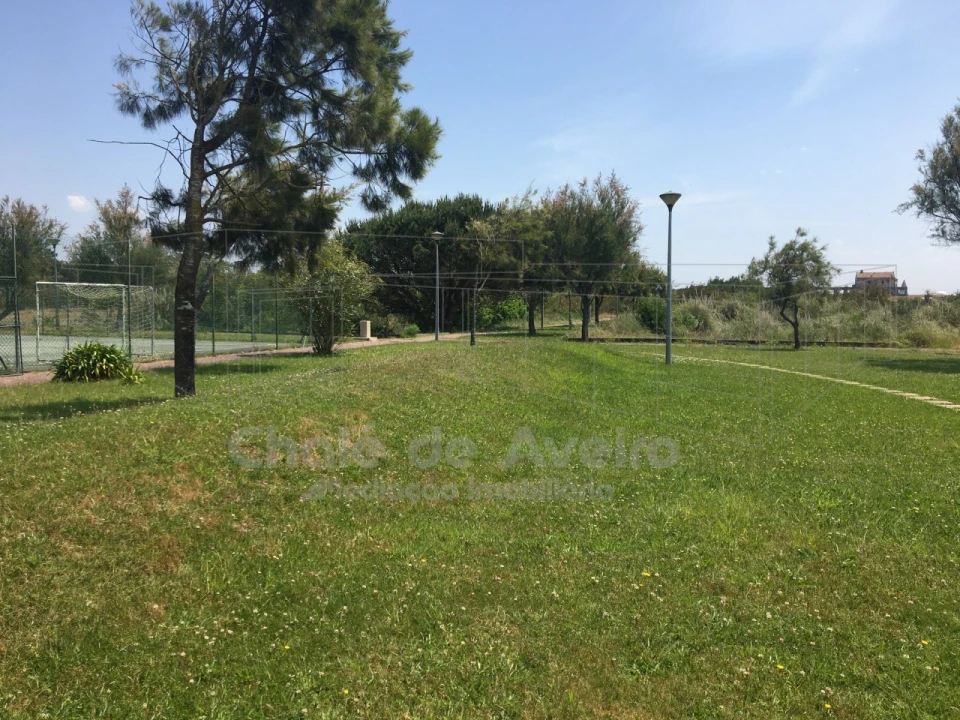 Terreno para Venda em São Jacinto Foto 23