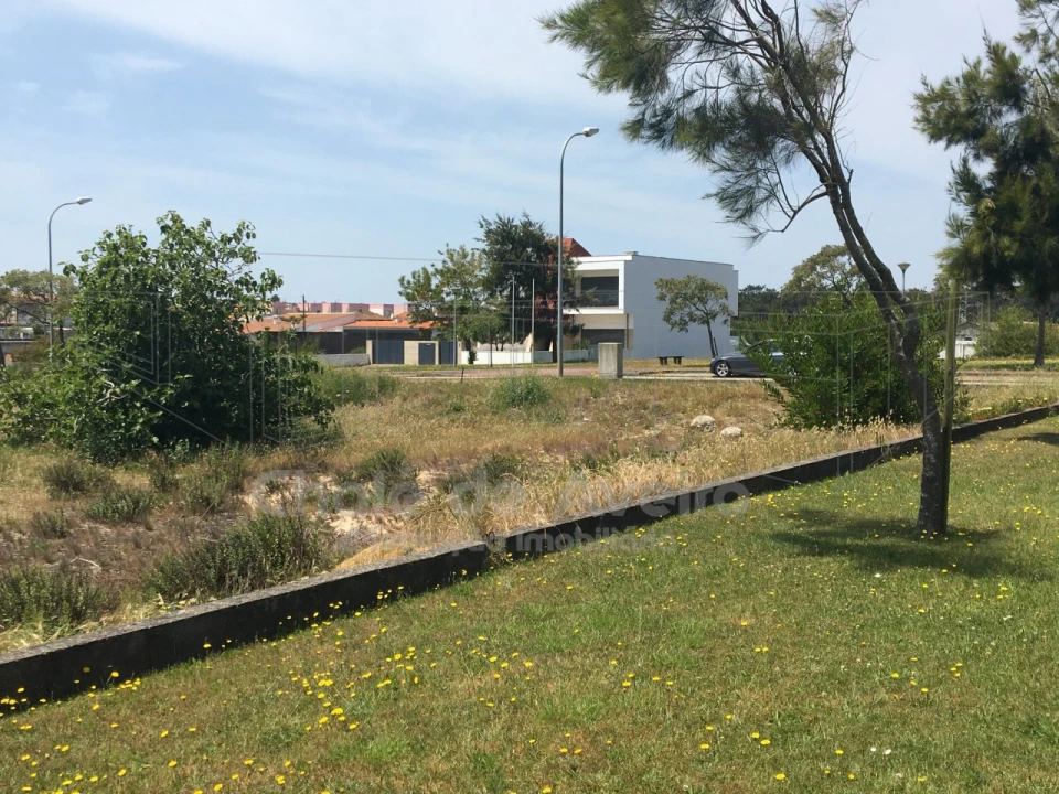 Terreno para Venda em São Jacinto Foto 29