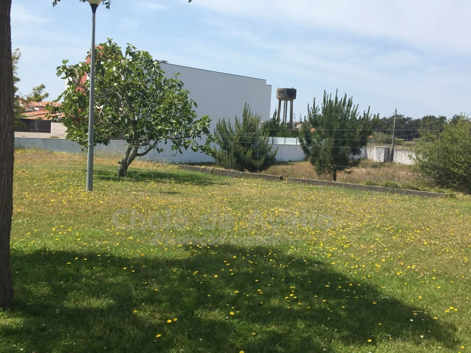 Terreno para Venda em São Jacinto Foto 32