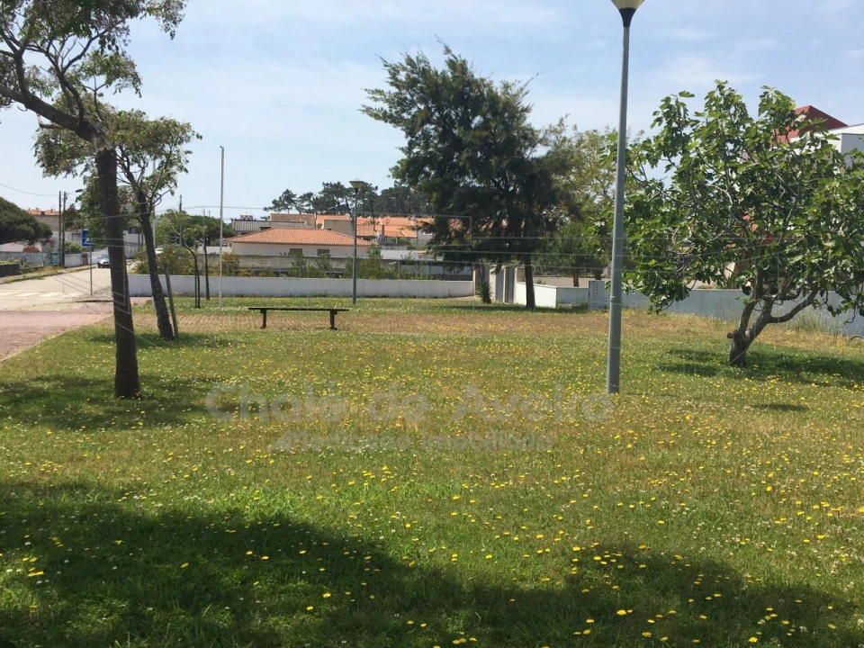 Terreno para Venda em São Jacinto Foto 33