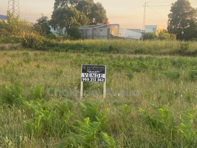 Terreno para Venda em Trofa, Segadães e Lamas do Vouga Foto 7