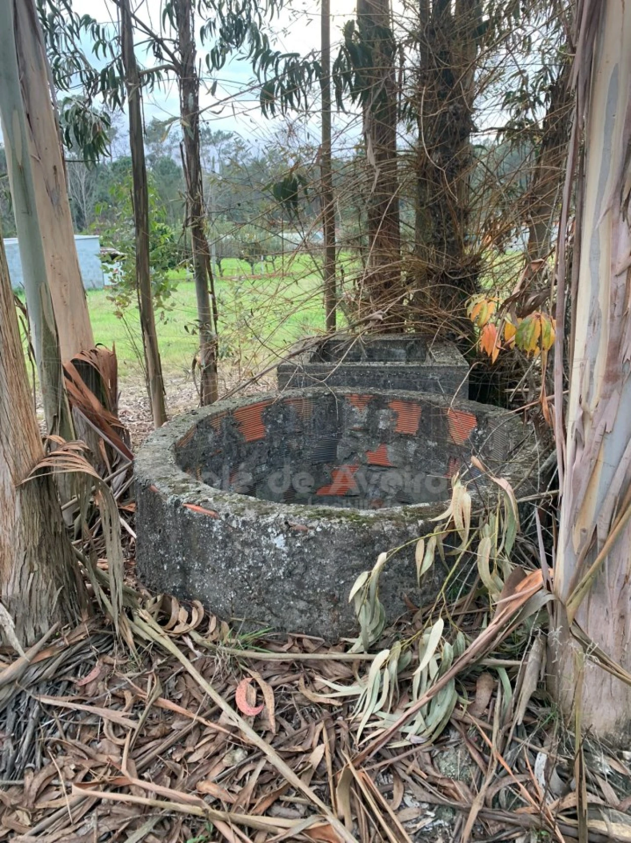 Terreno Agricola ou Rústico para Venda em Oiã Foto 2