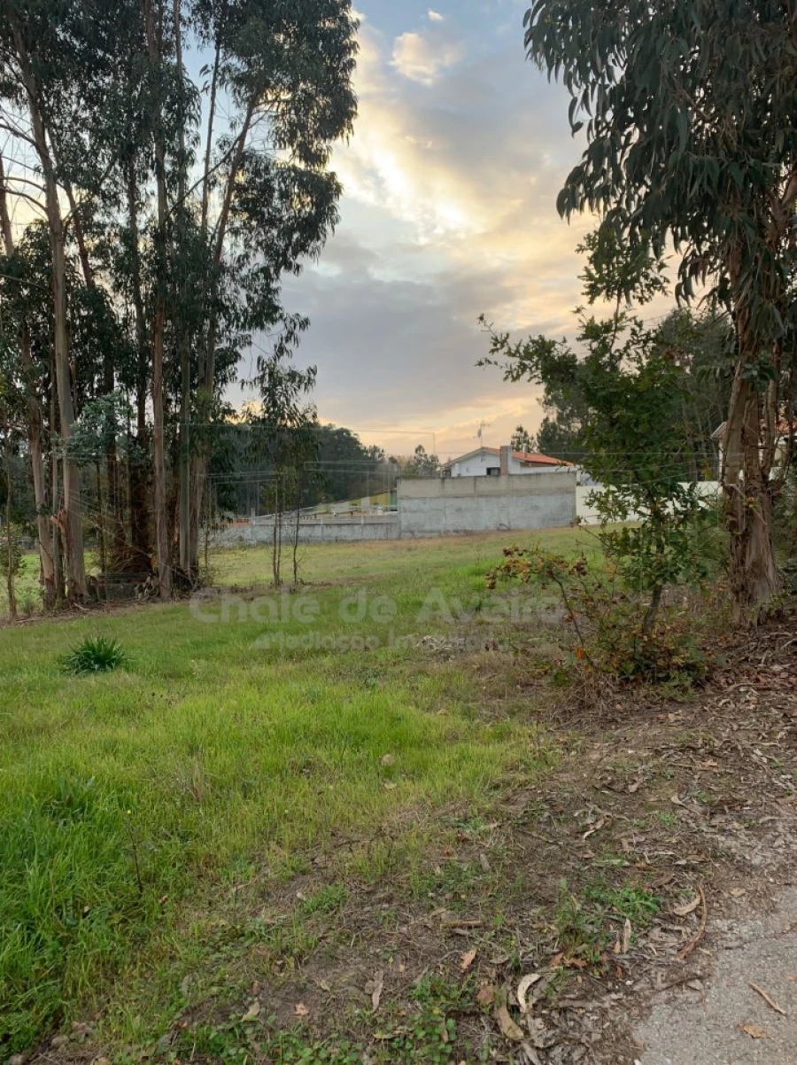 Terreno Agricola ou Rústico para Venda em Oiã Foto 1