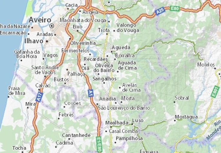 Moradia T4 para Venda em Arcos e Mogofores Foto 8